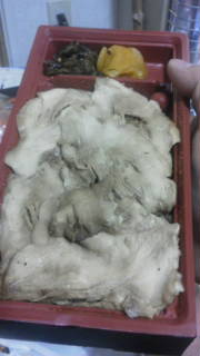 20101231002010.jpg